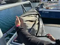 巡逻艇 待售