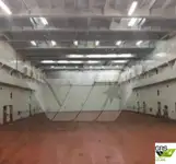 滚装船 待售