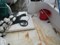 拖网渔船 待售