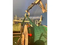 渡轮 待售