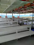 邮轮 待售