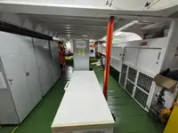 集装箱船 待售