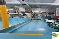 滚装船 待售