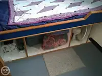 切船 待售