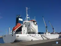 冷藏船 出售