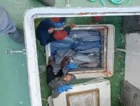 拖网渔船 待售