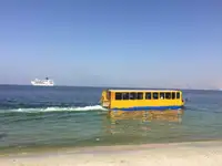 水陆两用 出售