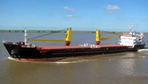 Bulk carrier for sale