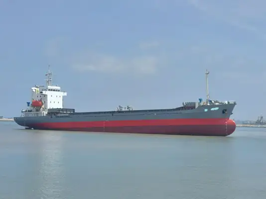 Bulk carrier for sale
