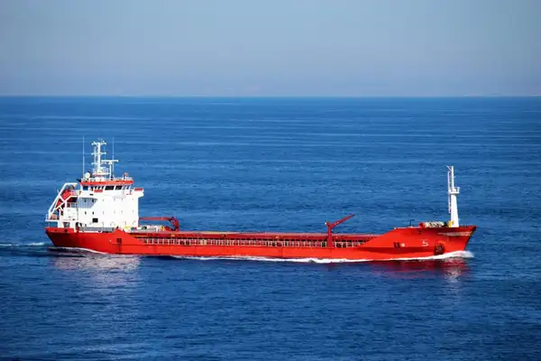 Bulk carrier for sale