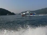 渡轮 出售