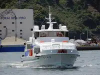 渡轮 出售
