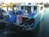 双体船 出售