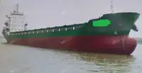 集装箱船 出售