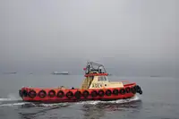 拖船 出售