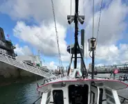 领航船 出售