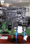 散货船 出售