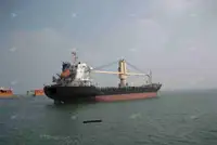 散货船 出售