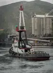 拖船 出售