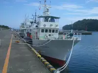 拖网渔船 出售