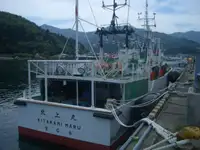 拖网渔船 出售