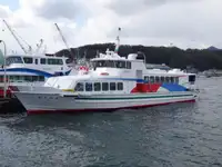 渡轮 出售