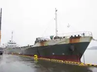 散货船 出售
