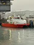 双体船 出售