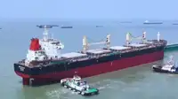 散货船 出售