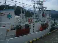 拖网渔船 出售