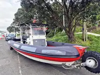 水陆两用 出售
