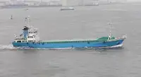 散货船 出售