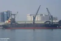 散货船 出售