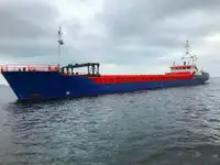 散货船 出售