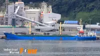散货船 出售